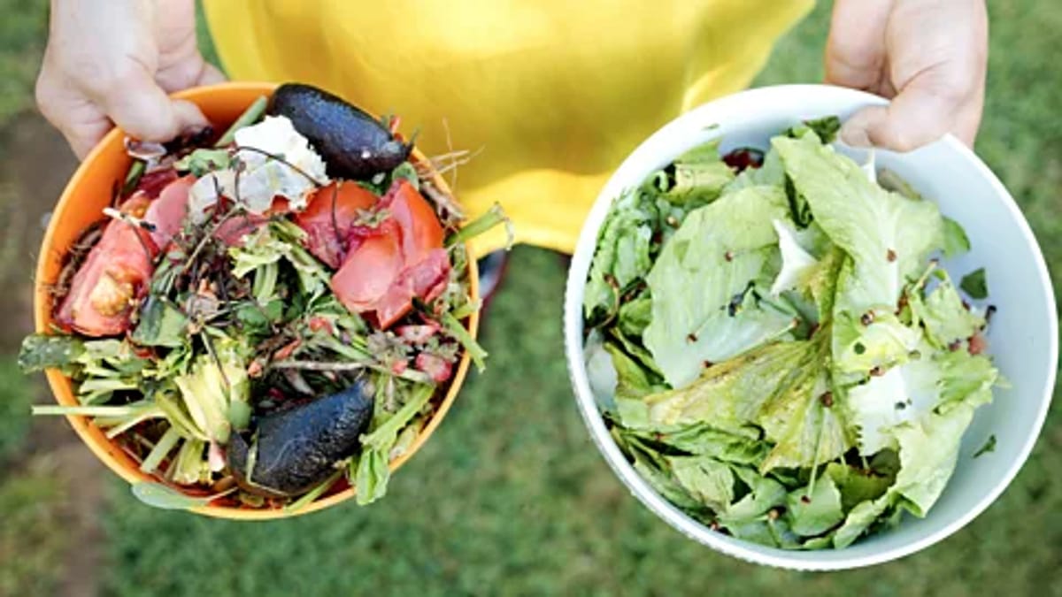 10 "Kitchen Scraps" You Should Never Throw Away