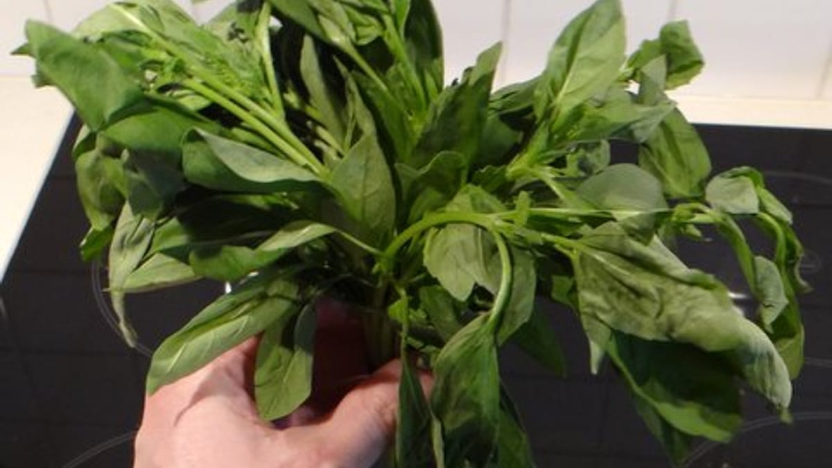 How to Revive Wilted Greens and Stale Bread