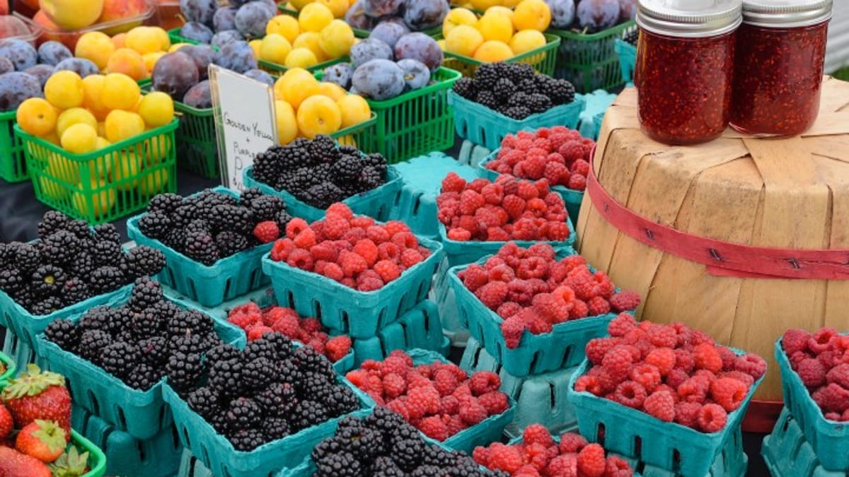 Navigating the Farmer's Market: A Guide for First - Timers