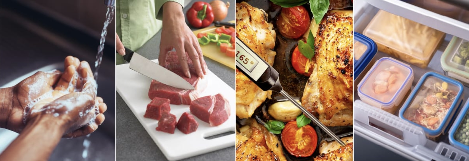 The Bacteria Breeding Ground You Call a Cutting Board